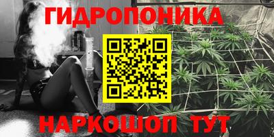 ПСИЛОЦИБИНОВЫЕ ГРИБЫ Коммунар
